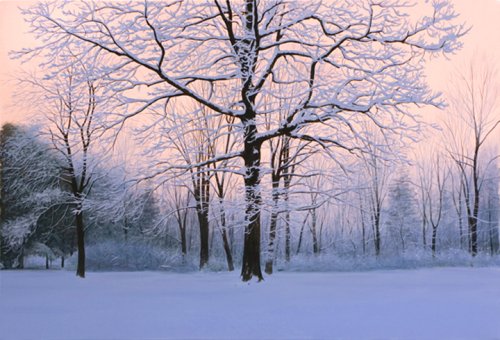 Alexander Volkov Collector's Edition - Winter Sunrise