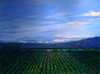 Denard Stalling Original Oil