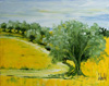 JalinePol's Original Oils on Canvas