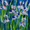 JalinePol's Original Oils on Canvas