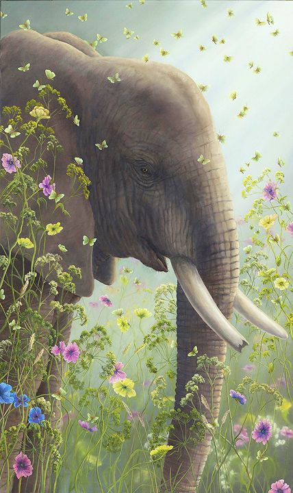 Robert Bissell  - Presence Elephant