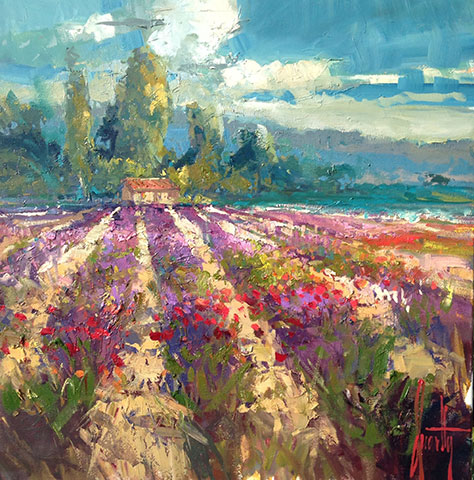 Steven Quartly - Fields of Lavender