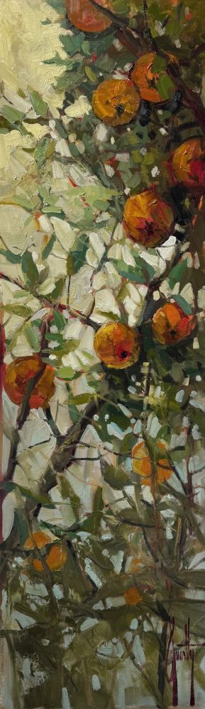 Steven Quartly - Seasons of Love